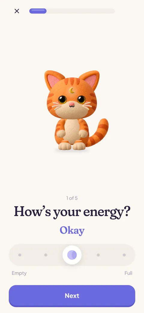 The daily check-in asking how much energy you have.